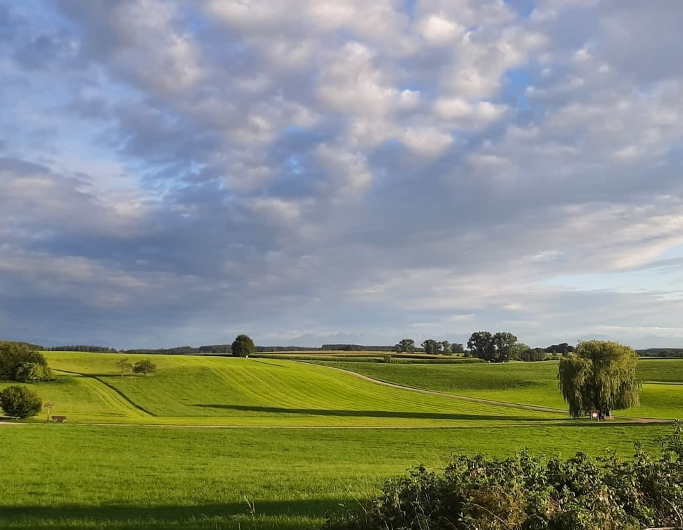 Offene Landschaft
